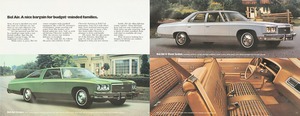 1976 Chevrolet Full Size (Cdn)-10-11.jpg